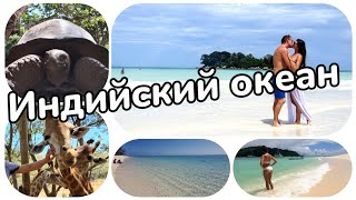 Сейшелы или Маврикий - что лучше подойдет для отдыха?