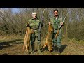 Hunting Serbia - Jackal Hunt | Lov šakala Požarevac - Šakalijada | Caccia al sciacallo | Schakaljagd