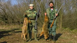 Hunting Serbia - Jackal Hunt | Lov šakala Požarevac - Šakalijada | Caccia al sciacallo | Schakaljagd