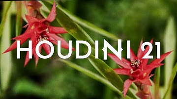 New in Houdini 21: Gaussian Splatting (with Vellum)