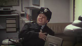 Carcharodon - Beak Life