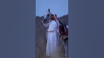 عاشت ايدك حالات واتساب 