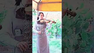 Video thumbnail of "Alabaré - Mariachi Shalom #mariachicristiano #shorts"