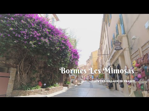 Bormes Les Mimosas, the  most beautiful village in South Of France