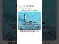 水好き女子と結婚したらヤバい理由ww