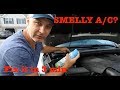 How to FIX Smelly AC in 3 min.