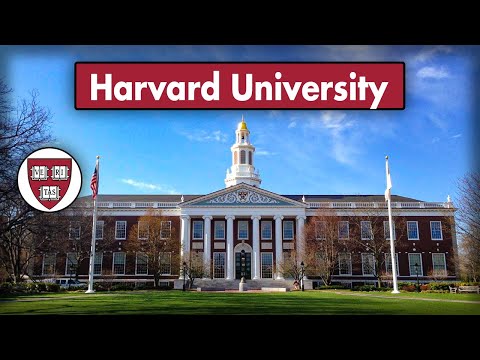 Video: Unde începe turneul Harvard?