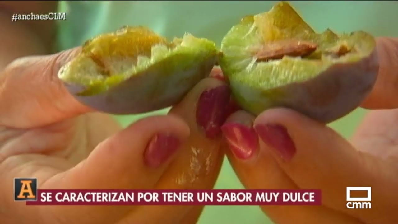 Recolección de ciruelas en Olías del Rey | Ancha es Castilla - La Mancha