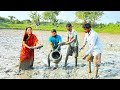            village style fishing and cooking  villfood