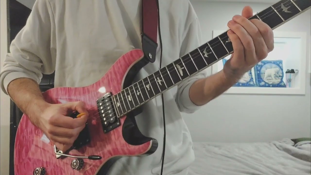 PRS SE Custom 24 Demo (kind of)