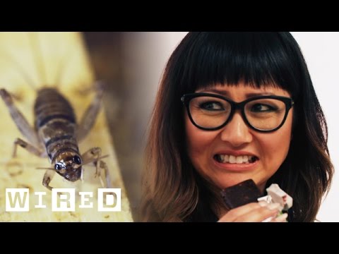 You’ll Be Eating Crickets Soon. You Have No Choice Instructional Video