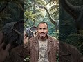 Wildlife footage.