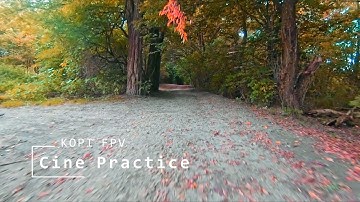 Cinewhoop Practice FPV | Runcam5 + gyroflow-0.3.0