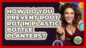 How Do You Prevent Root Rot In Plastic Bottle Planters? - The Upcycle Lab