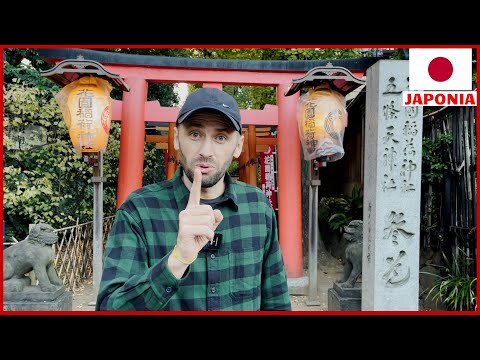 JAPONIA - pentru