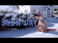 Snow Day | Dino Ice Age