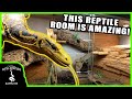 INCREDIBLE MONITOR LIZARD REPTILE ROOM TOUR! (Mike's Monitors)