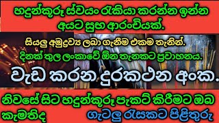 නිවසේ සිට හදුන්කූරූ පැකට් කරමු/ලංකාවේ ඕන තැනකට එක දවසින්/SLBIZ