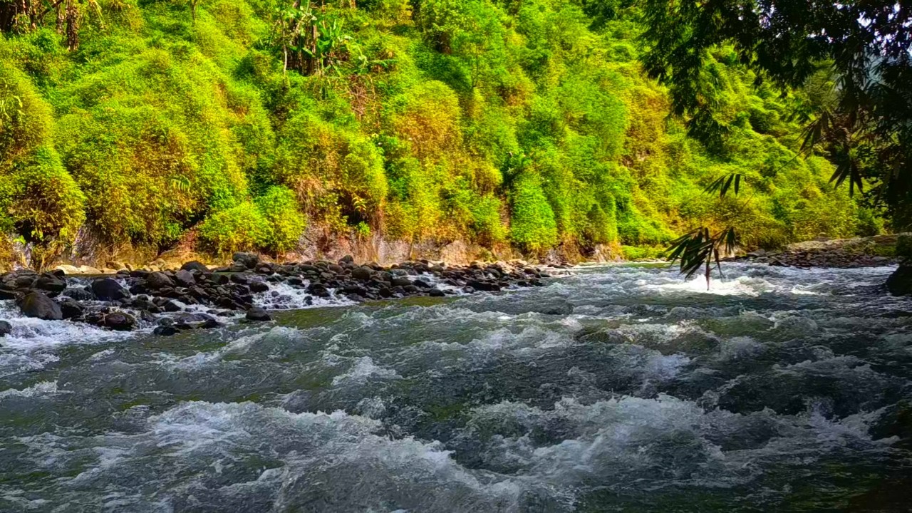 Mountain River Sounds for Deep Sleep 🌙 | Relaxing ASMR Water Flow & Peaceful Nature Ambience