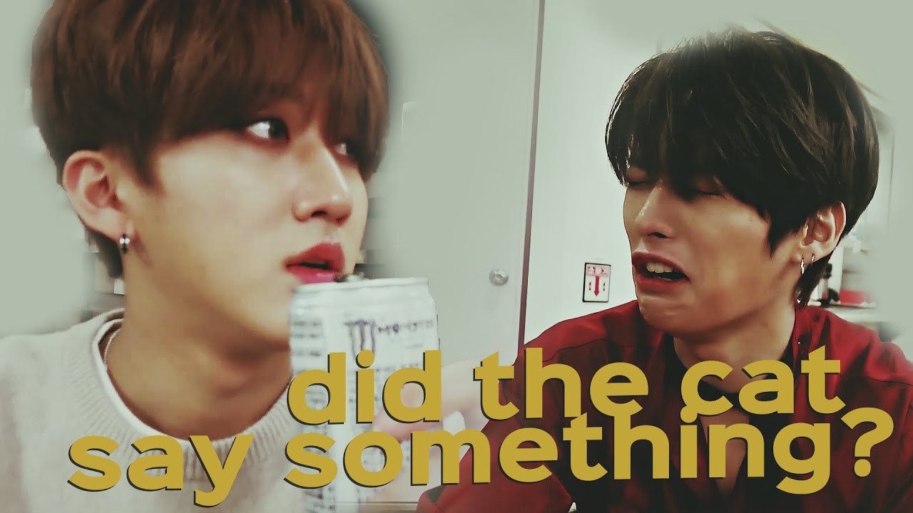 Changbin & Minho | You can be Fiona today, I'll be Shrek