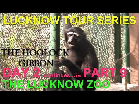 LUCKNOW TOUR SERIES PART 9 (THE LUCKNOW ZOO)