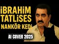 IBRAHIM TATLISES NANKÖR KEDI AI COVER KADIN VOKAL VERSION 2025 