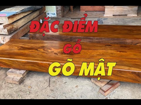 Video Những điều cần biết về gỗ gõ mật | gỗ gõ mật - youtube
