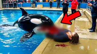 The TERRIFYING Last Moments of Orca Trainer Elena Price