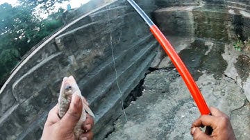 അടിപൊളി ബൈറ്റ് 100%റിസൾട് 🎣❤️👍!Cool byte 100% result!#fishing #fishing life 