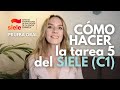 Cmo hacer la tarea 5 de la prueba oral del siele nivel c1  modelo  ejemplo de resolucin