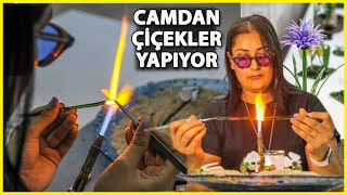 Endemik Çiçekler, Camda Şekil Buldu