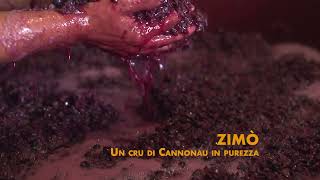 Qwine Zimo Cannonau