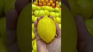 Lemon vs Orange 🍋🍊