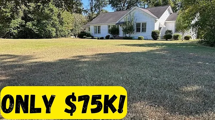 $75k House in GA with 1856 Sq Ft!