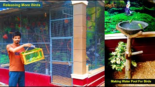 Releasing More Birds | Making Water Pool For Birds | Showing First Birth From Our Aviary