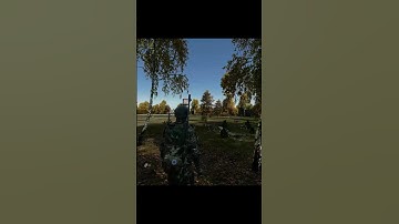 Day Z aah type of spawn #shorts #gaming #dayz #dayzstandalone #dayzclips #ps5 #dayzgameplay