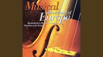 String Quartet No.1 in E minor From My Life, IV.Finale.Vivace