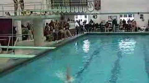 Terry Horner Various dives