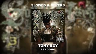 PERDONO-TONY BOY  SLOWED & REVERB