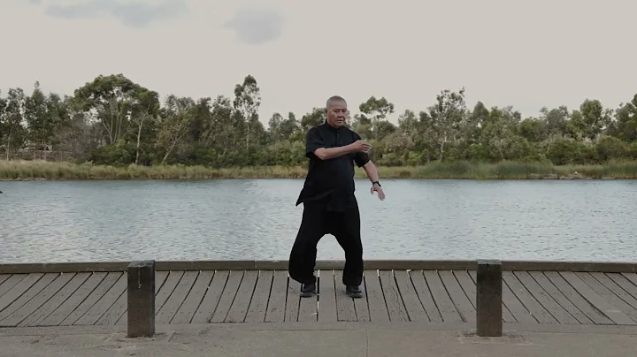 Qigong Shibashi Set 1  Alfred Ng Tai Chi