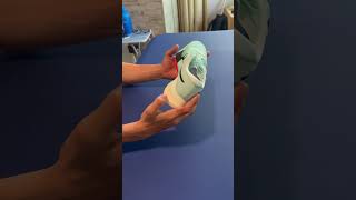 Metaspeed Sky Paris Unboxing