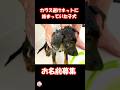 野犬の子犬 お名前募集 #子犬