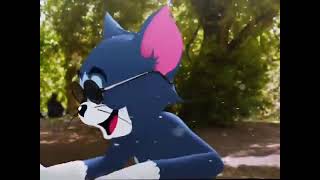 Tomjerrysweet Cartoons
