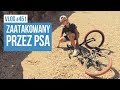 Zaatakowany przez psa! / VLOG #451