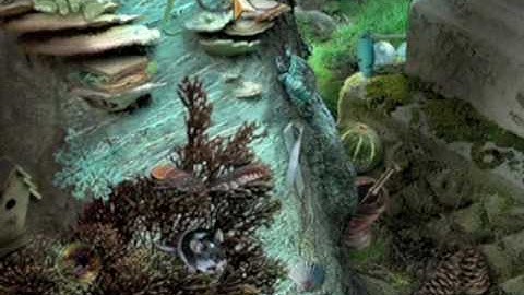 Mystery Case Files: Return to Ravenhearst Walkthrough - Chapter 5