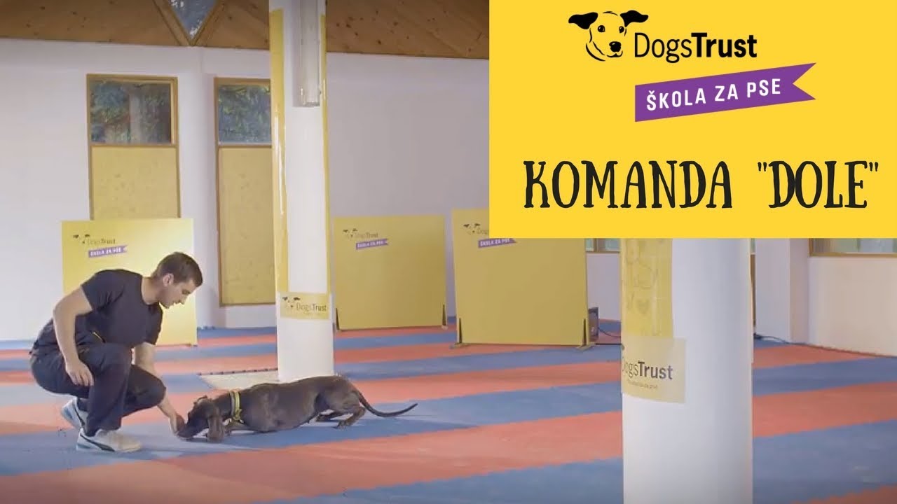 Komanda “Dole”