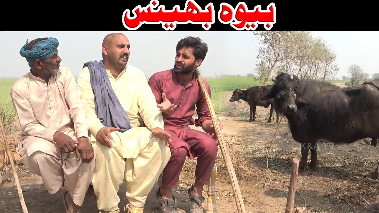 Bewa Bhens | Airport Helmet 1122  | New Punjabi Comedy | Funny clip | K&A TV