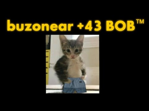 Buzonear +43 680 