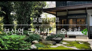 오초량 영상