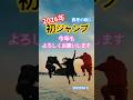 真冬の海にダイブ⁉️2026年もよろしくお願いします😊#2026#今年初投稿